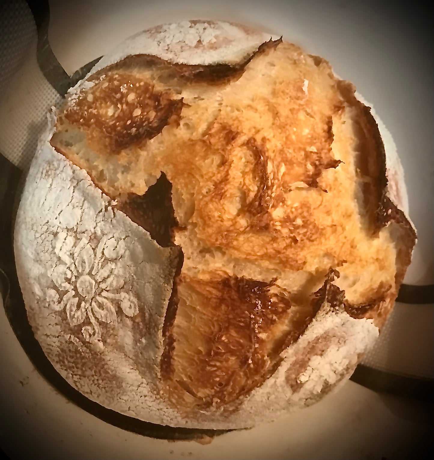 Sourdough Bread Boule (plain)