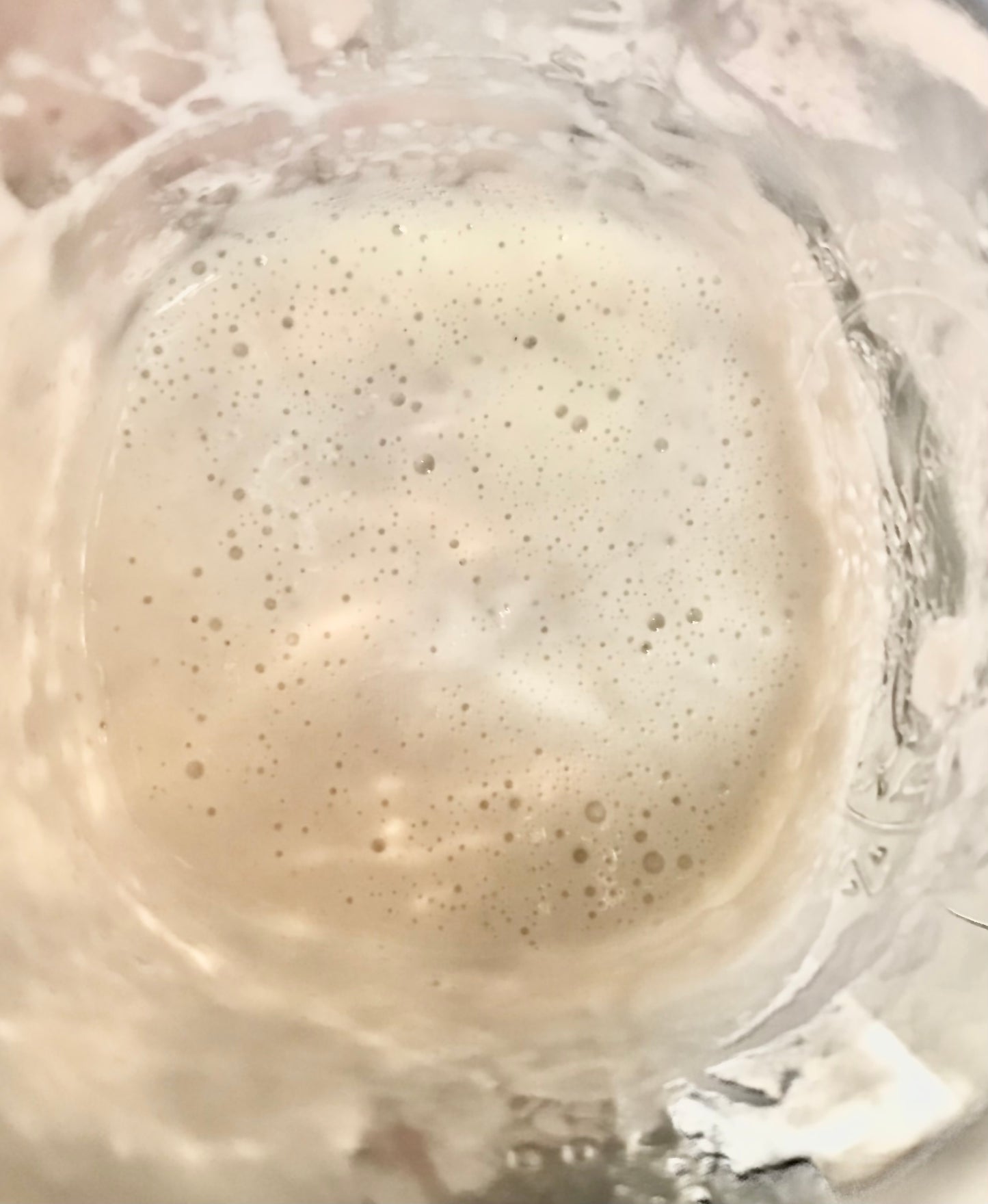 Dehydrated Sourdough Starter