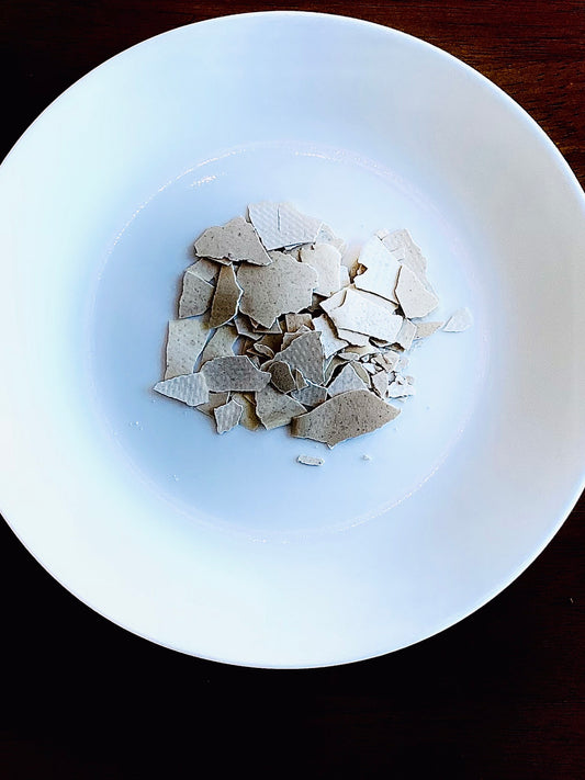 Dehydrated Sourdough Starter